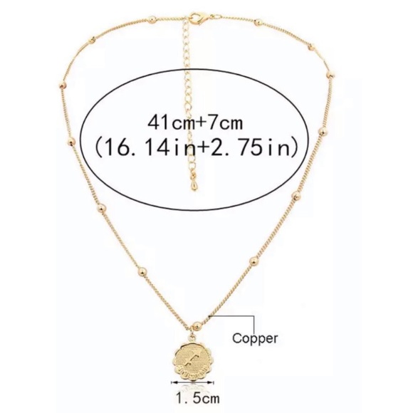 Scorpio Zodiac Coin Necklace - Picture 8 of 8